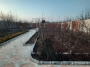 باغ ویلا در بکه شهریار